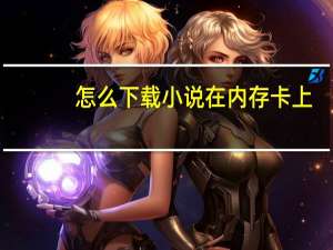 怎么下载小说在内存卡上（怎么下载小说到内存卡里）