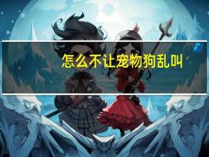 怎么不让宠物狗乱叫