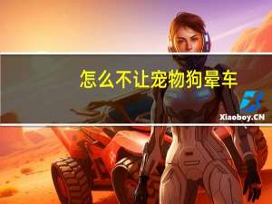 怎么不让宠物狗晕车