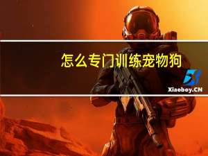 怎么专门训练宠物狗