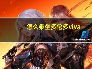 怎么乘坐多伦多viva