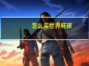 怎么买世界杯球