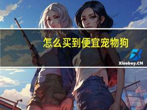 怎么买到便宜宠物狗