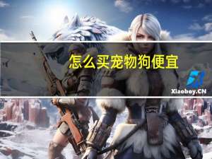 怎么买宠物狗便宜