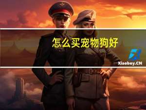 怎么买宠物狗好