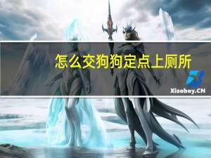怎么交狗狗定点上厕所