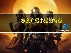 怎么介绍小猫的特点（小猫介绍50字左右）