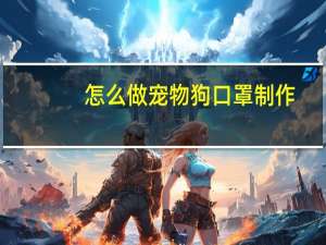 怎么做宠物狗口罩制作