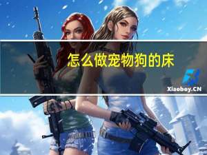 怎么做宠物狗的床