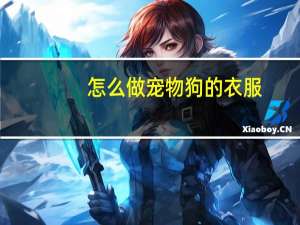 怎么做宠物狗的衣服
