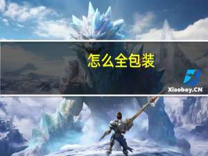 怎么全包装
