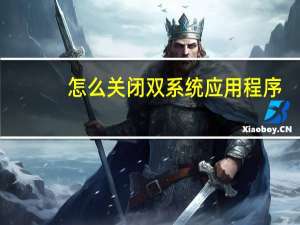 怎么关闭双系统应用程序