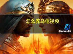 怎么养乌龟视频（怎么养乌龟）