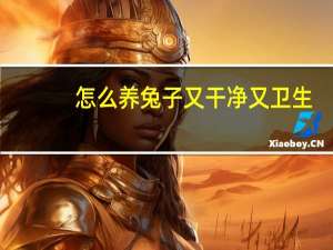 怎么养兔子又干净又卫生