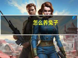 怎么养兔子？初养小兔须知（适合刚买兔兔的新人）