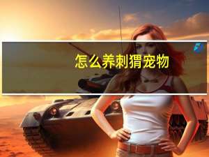 怎么养刺猬宠物