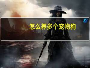 怎么养多个宠物狗