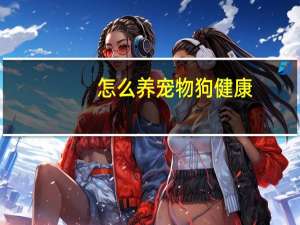 怎么养宠物狗健康