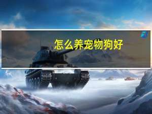 怎么养宠物狗好