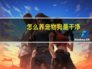 怎么养宠物狗最干净