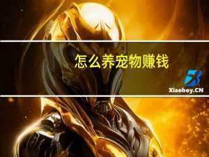 怎么养宠物赚钱