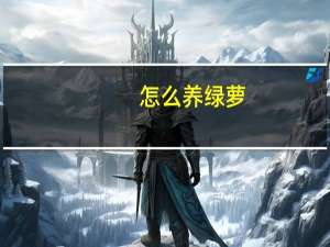 怎么养绿萝
