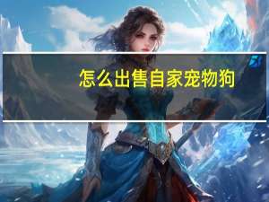 怎么出售自家宠物狗