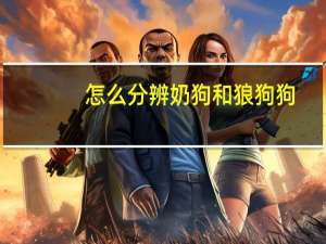 怎么分辨奶狗和狼狗狗