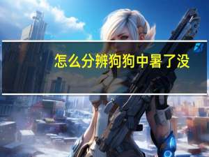怎么分辨狗狗中暑了没
