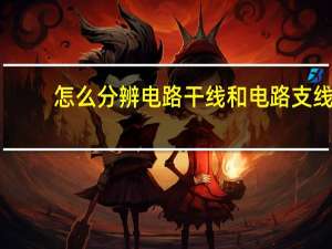 怎么分辨电路干线和电路支线