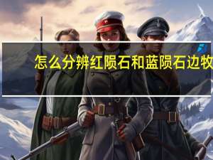 怎么分辨红陨石和蓝陨石边牧