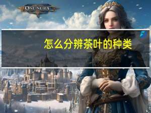 怎么分辨茶叶的种类