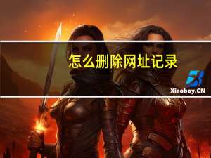 怎么删除网址记录（怎么删除网址）
