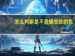 怎么判断是不是螨虫咬的包（怎么判断是不是跳蚤咬的包）