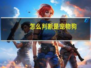 怎么判断是宠物狗