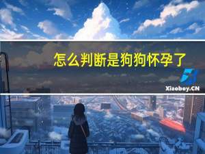 怎么判断是狗狗怀孕了