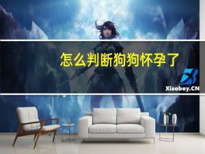 怎么判断狗狗怀孕了
