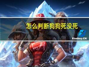 怎么判断狗狗死没死