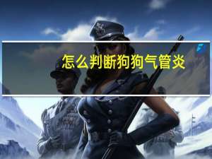 怎么判断狗狗气管炎