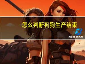 怎么判断狗狗生产结束