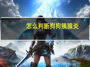 怎么判断狗狗胰腺炎
