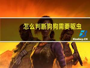 怎么判断狗狗需要驱虫