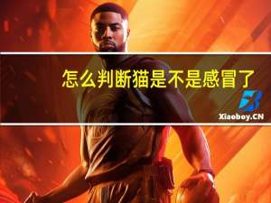 怎么判断猫是不是感冒了