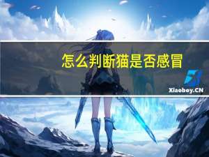 怎么判断猫是否感冒