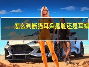 怎么判断猫耳朵是脏还是耳螨