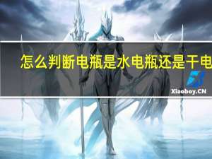 怎么判断电瓶是水电瓶还是干电瓶