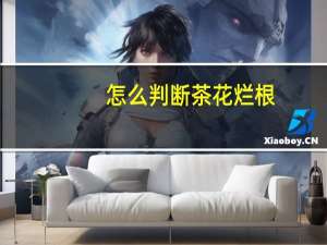 怎么判断茶花烂根