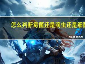 怎么判断霉菌还是滴虫还是细菌（怎么判断霉菌还是滴虫）