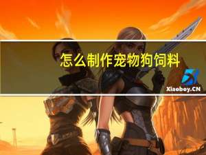 怎么制作宠物狗饲料