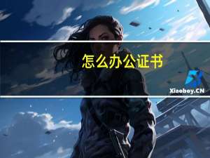 怎么办公证书